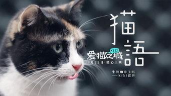 猫之城最新爆料视频大全,最新爆料视频大盘点  第2张